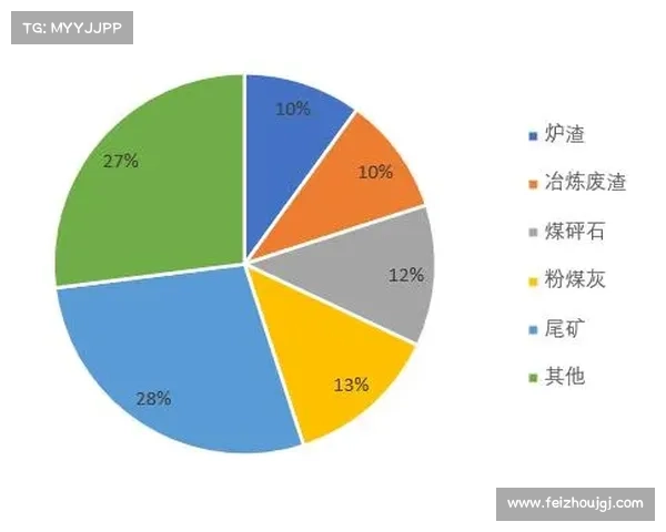 建业足球俱乐部发展历程与现状深度解析及未来发展展望